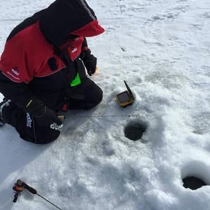 Meet your Posher, Derek